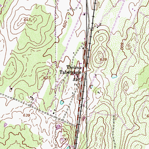 Topographic Map of Thelma Tabernacle, TX