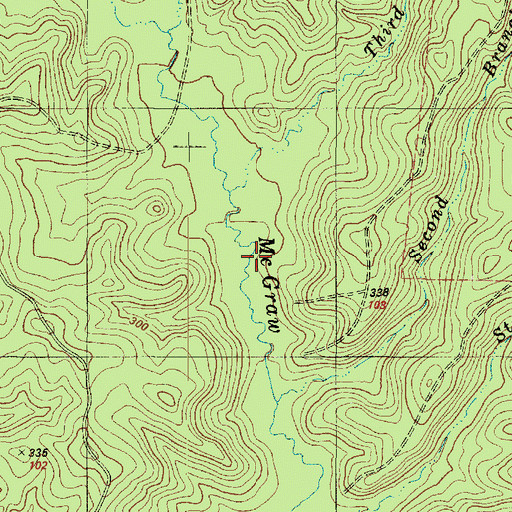Topographic Map of Third Branch McGraw Creek, TX
