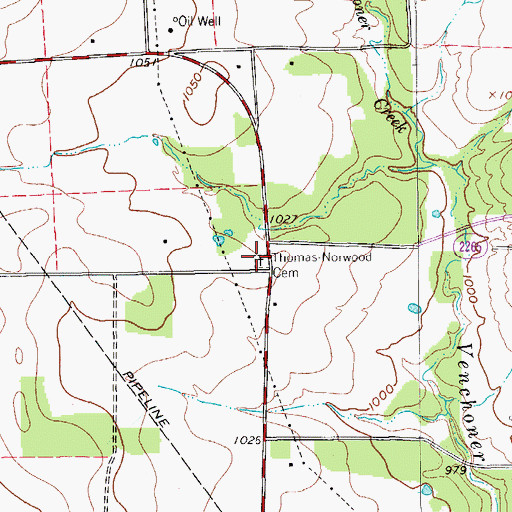 Topographic Map of Thomas-Norwood Cemetery, TX