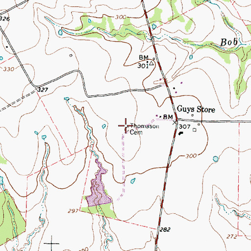 Topographic Map of Thomason Cemetery, TX