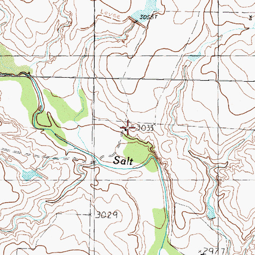 Topographic Map of Thornberry Ranch, TX