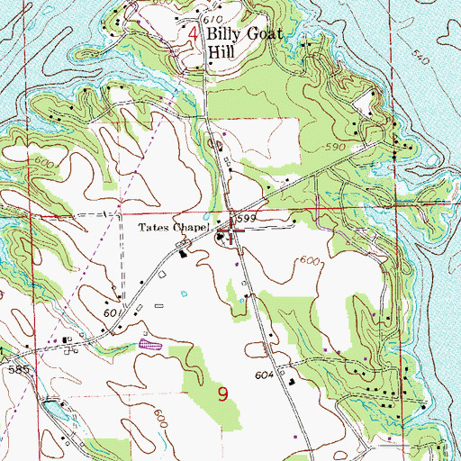 Topographic Map of Tates Chapel Cemetery, AL