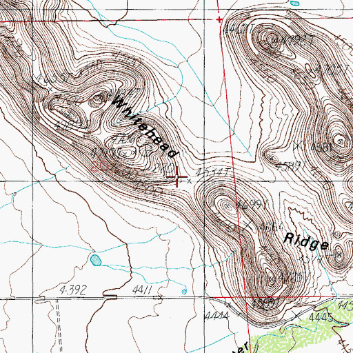 Topographic Map of Whitehead Ridge, AZ