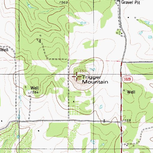 Topographic Map of Tiger Mountain, TX