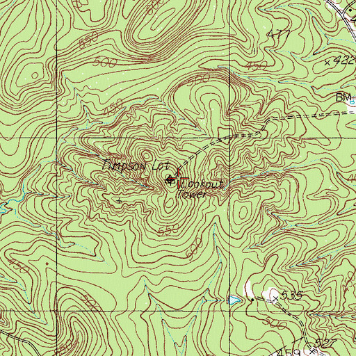 Topographic Map of Timpson Lookout, TX