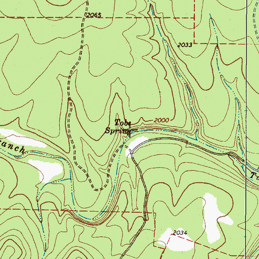 Topographic Map of Tobe Spring, TX