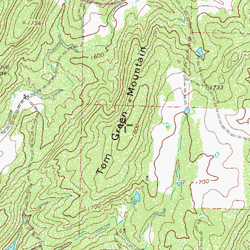 Topographic Map of Tom Green Mountain, TX