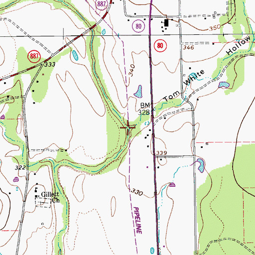 Topographic Map of Tom White Hollow, TX