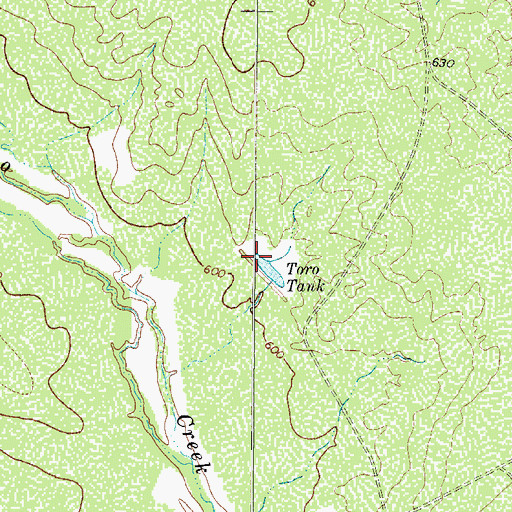 Topographic Map of Toro Tank, TX