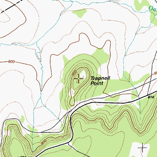 Topographic Map of Trapnell Point, TX