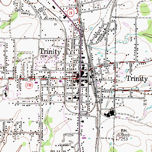 Topographic Map of Trinity, TX