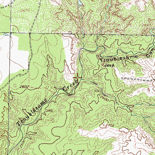 Topographic Map of Troublesome Canyon, TX