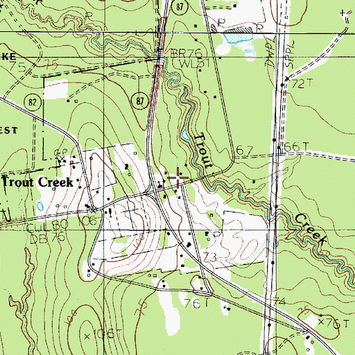 Topographic Map of Trout Creek, TX