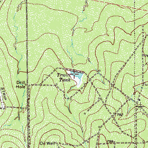 Topographic Map of Truitt Tank, TX
