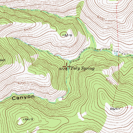 Topographic Map of Tuly Spring, TX