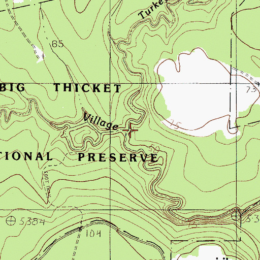 Topographic Map of Turkey Creek, TX