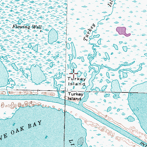 Topographic Map of Turkey Island, TX