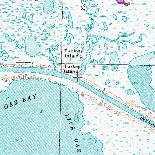 Topographic Map of Turkey Island Slough, TX