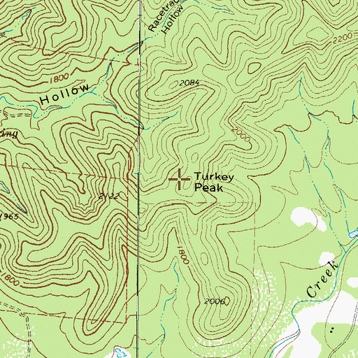 Topographic Map of Turkey Peak, TX