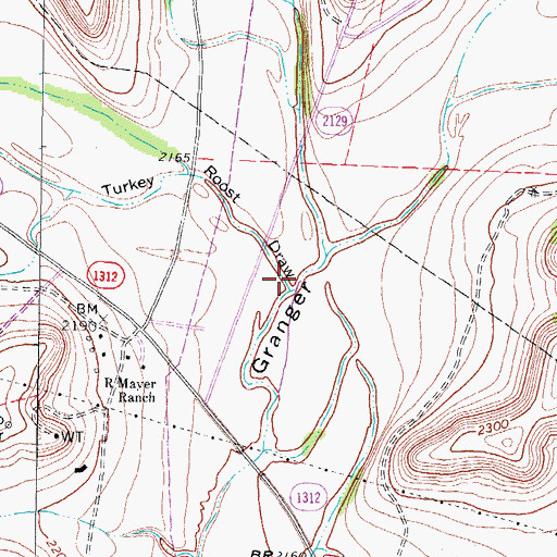 Topographic Map of Turkey Roost Draw, TX