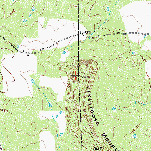 Topographic Map of Turkeyroost Mountain, TX