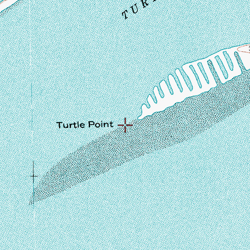 Topographic Map of Turtle Point, TX