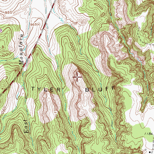 Topographic Map of Tyler Bluff, TX