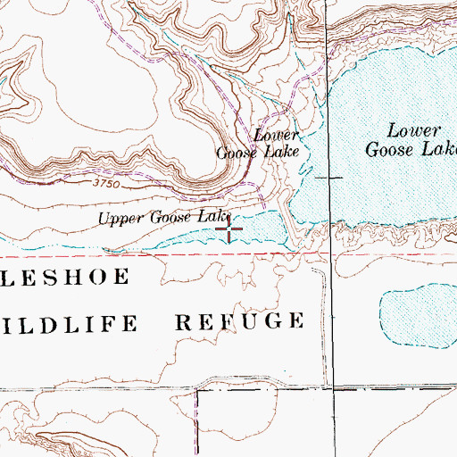 Topographic Map of Upper Goose Lake, TX