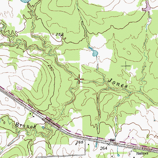 Topographic Map of Upshur Branch, TX