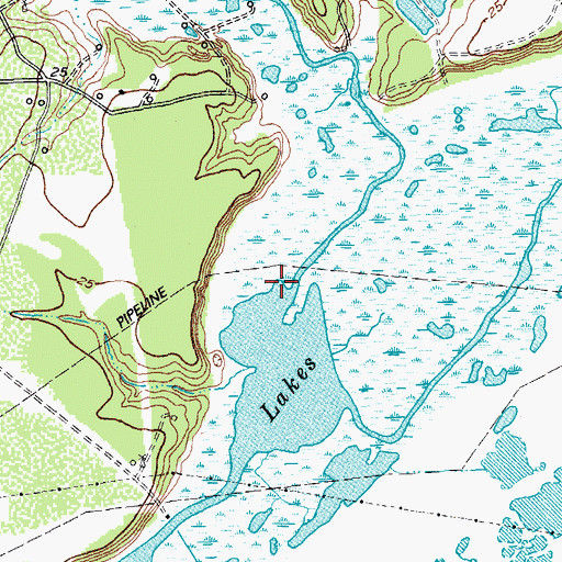 Topographic Map of Venado Creek, TX