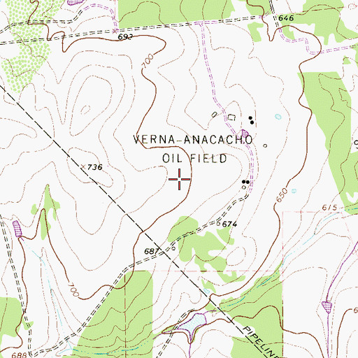 Topographic Map of Verna-Anacacho Oil Field, TX