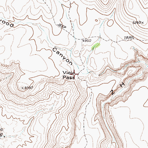 Topographic Map of Vieja Pass, TX