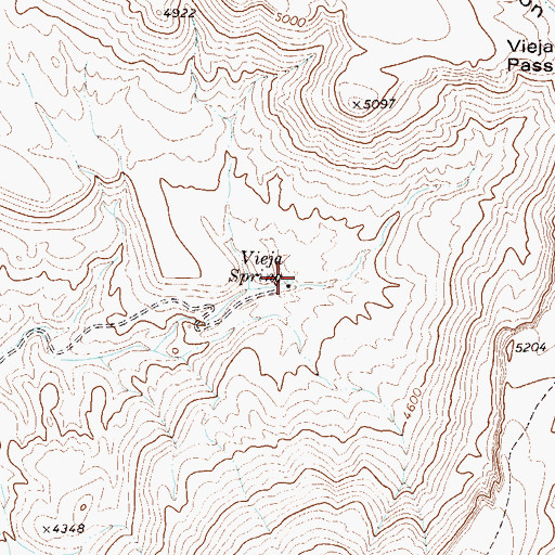 Topographic Map of Vieja Spring, TX