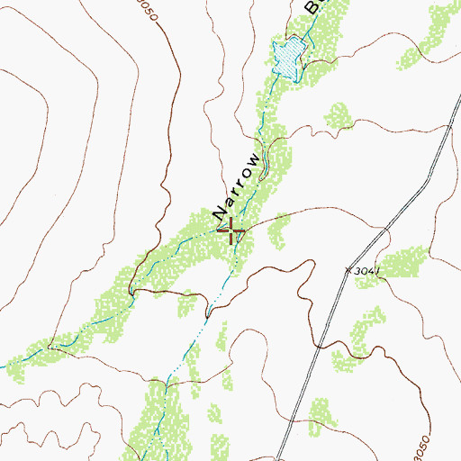 Topographic Map of W T Draw, TX