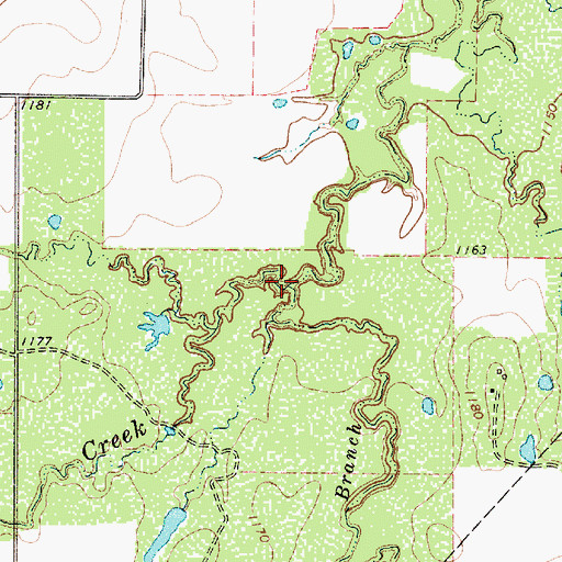 Topographic Map of Wagon Branch, TX