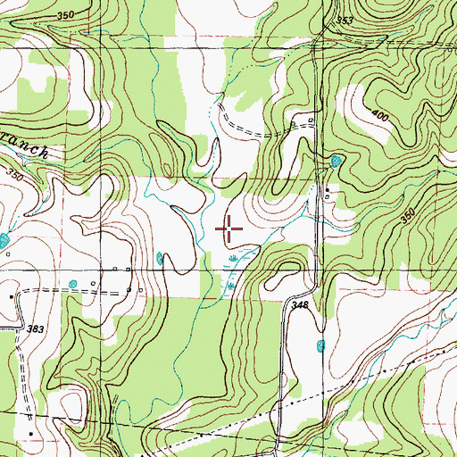 Topographic Map of Wallace Branch, TX