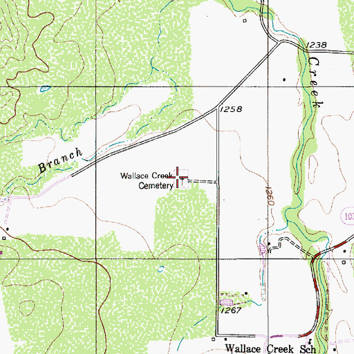 Topographic Map of Wallace Creek Cemetery, TX