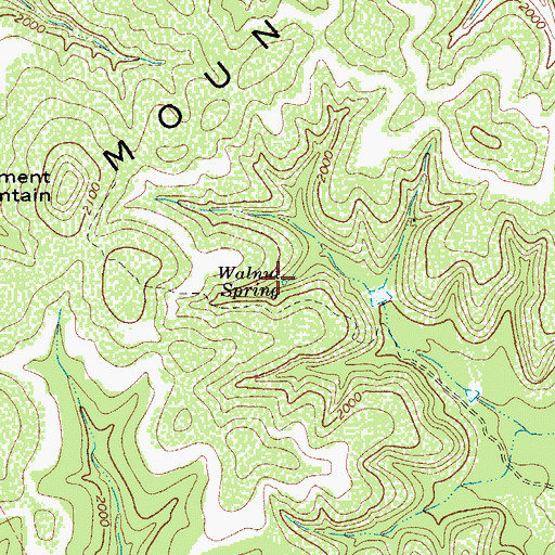 Topographic Map of Walnut Spring, TX