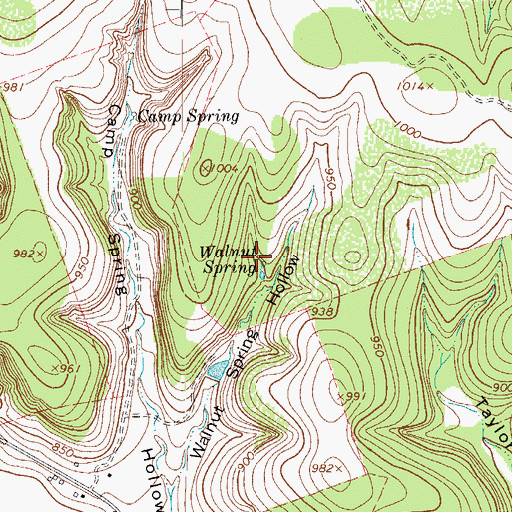 Topographic Map of Walnut Spring, TX