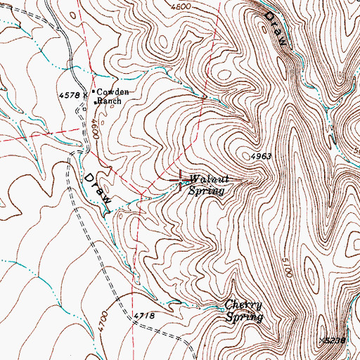 Topographic Map of Walnut Spring, TX