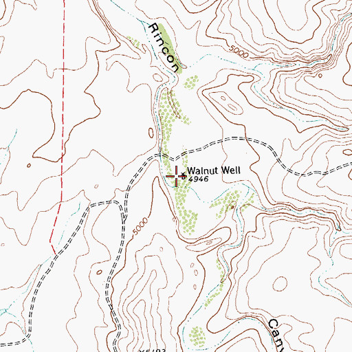 Topographic Map of Walnut Well, TX