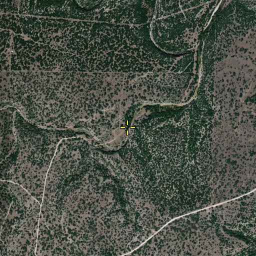 Aerial/Satellite Image of Walton Spring, TX