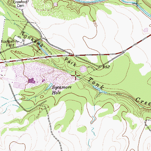 Topographic Map of Wasp Creek, TX