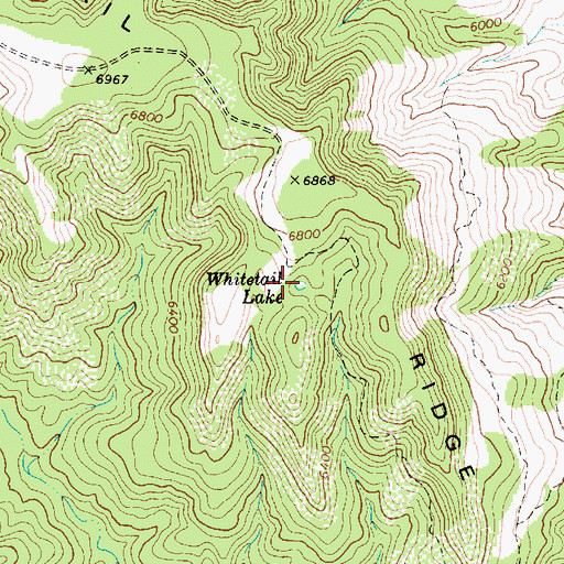 Topographic Map of Whitetail Lake, AZ