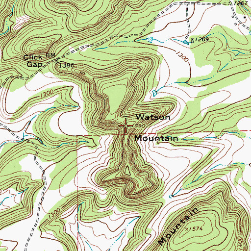 Topographic Map of Watson Mountain, TX