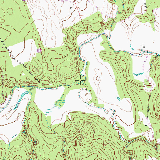 Topographic Map of Webb Branch, TX