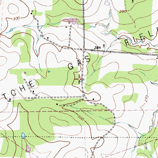 Topographic Map of Weesatche Gas Field, TX