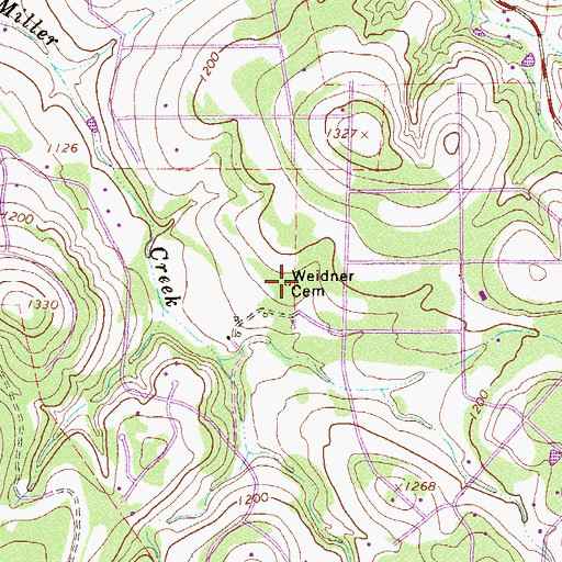 Topographic Map of Weidner Cemetery, TX