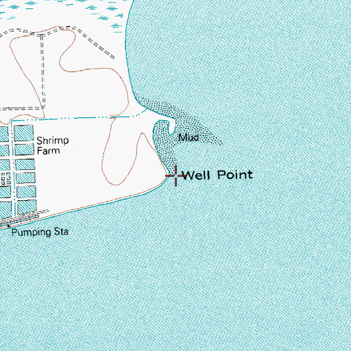 Topographic Map of Well Point, TX
