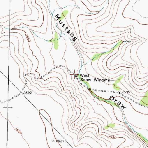 Topographic Map of West Snow Windmill, TX